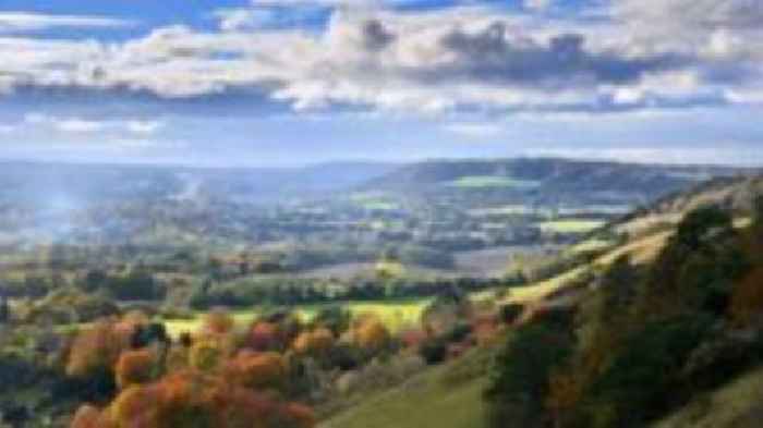 Surrey council reorganisation plans published