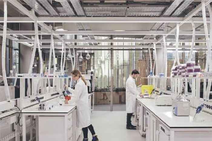 GSK shares rise as FTSE 100 giant ‘well positioned’ for pharma tariffs