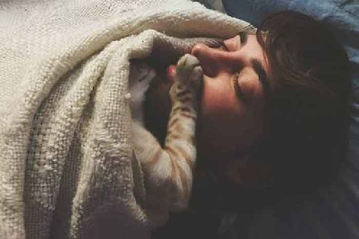 Cats don't just sleep on you for warmth – there are much deeper reasons