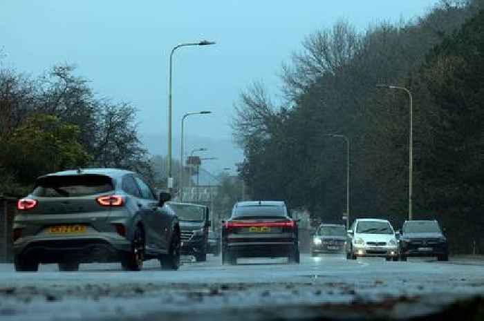 Zebra crossing crash in Dawlish left woman permanently disabled