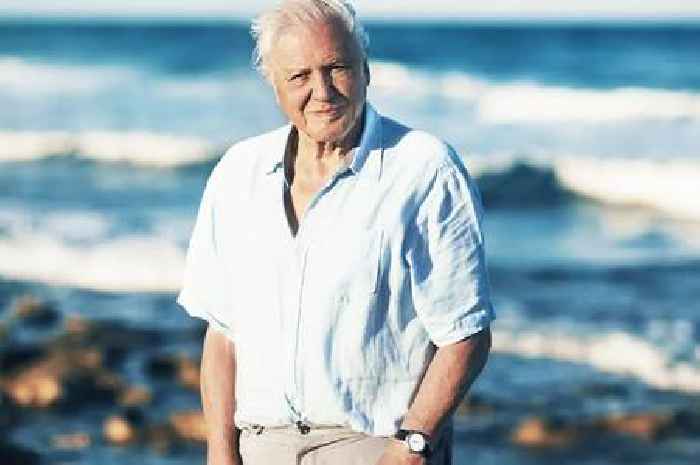 Sir David Attenborough admits the 'end is near' in heartbreaking 99th birthday confession