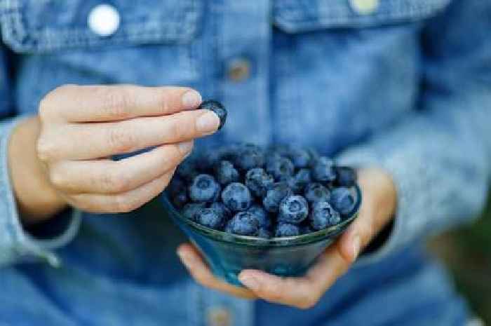 Studies show eating one fruit with key nutrient makes you 'smarter'