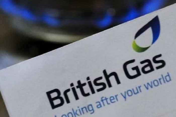 Martin Lewis issues urgent £285 British Gas message and says 'cheapest'