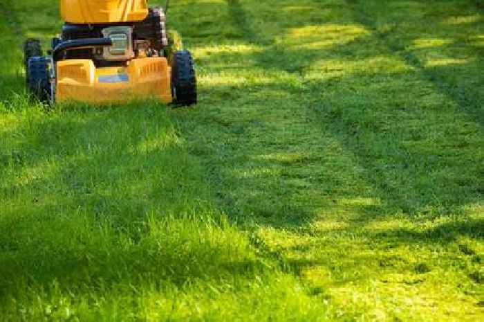 Gardeners urged to look out for common sign in grass that might go unnoticed