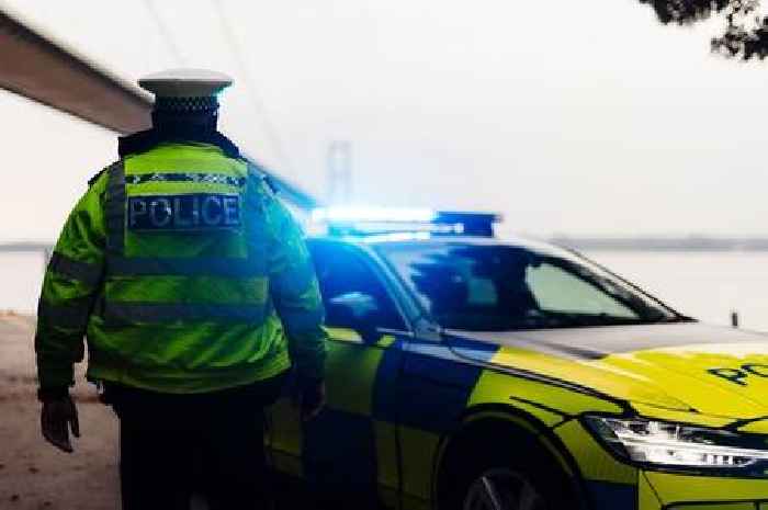 Student police officer 'deliberately lied' about having an MOT
