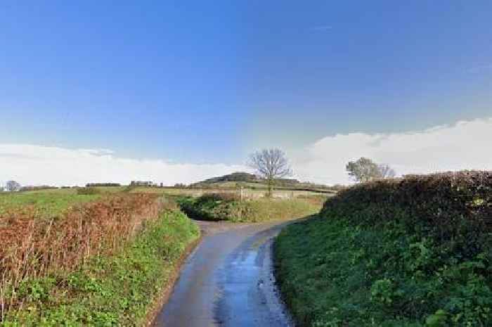 Teenager dies in horror crash on narrow South West country lane