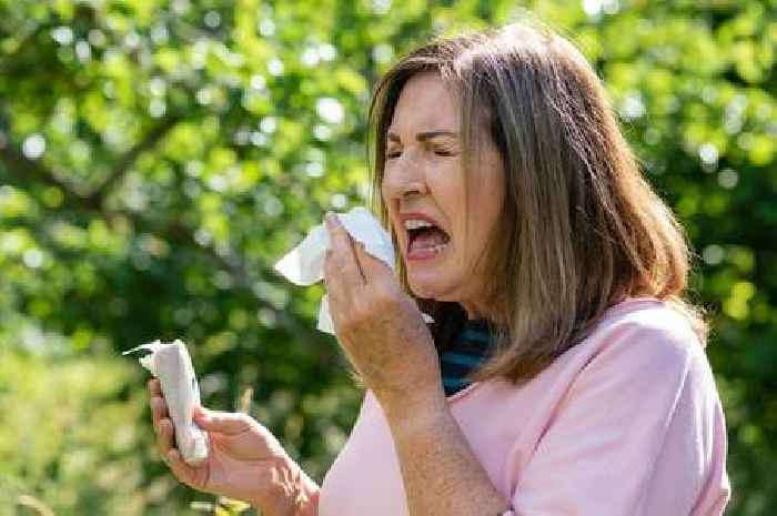 NHS doctor shares 'strongest' over-the-counter hay fever pills to help ease symptoms