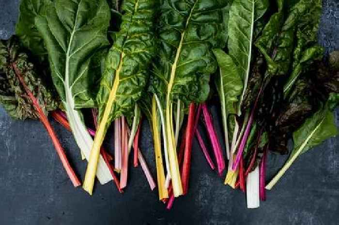 Physician shares the one food that's a 'heart health hero'
