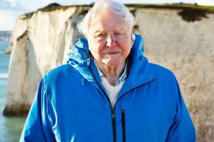 Sir David Attenborough makes heartbreaking confession on mortality ahead of 99th birthday