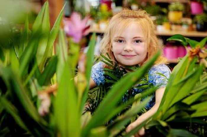 Free children’s Glorious Grass gardening workshop at Dobbies’ Sandyholm store
