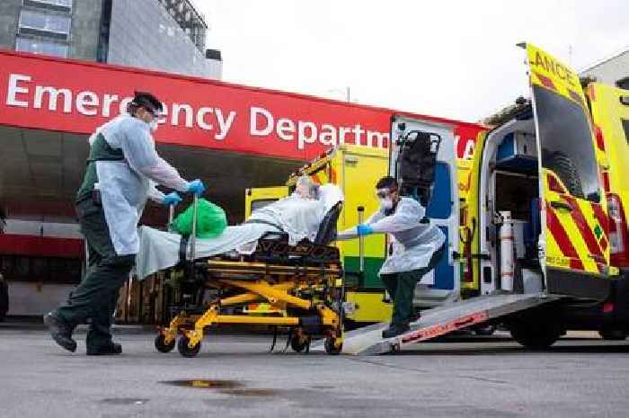 Man who foresaw Covid-19 fears next global pandemic is already underway