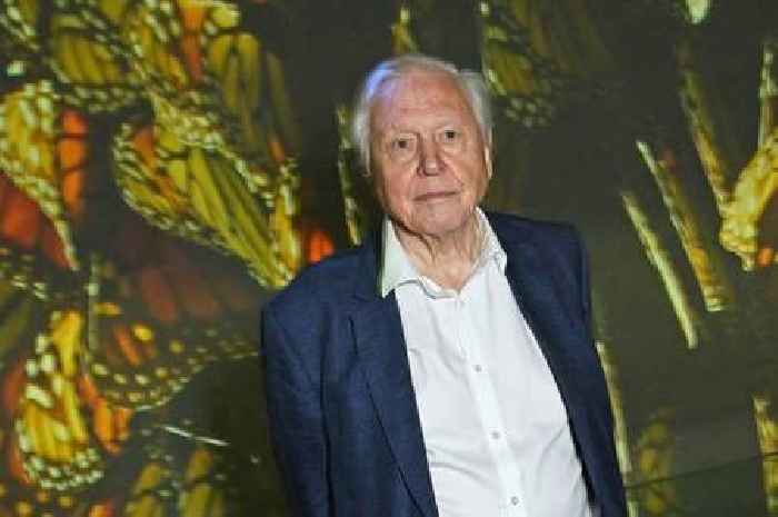 Sir David Attenborough confesses 'end is near' as 99th birthday approaches