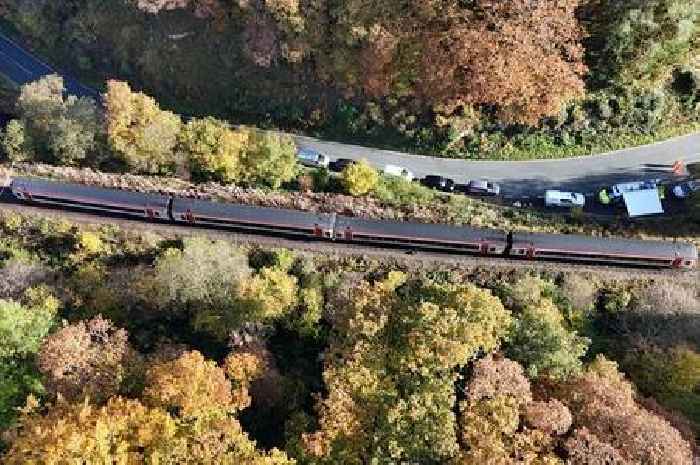Final moments that led to head-on train crash in which man died revealed
