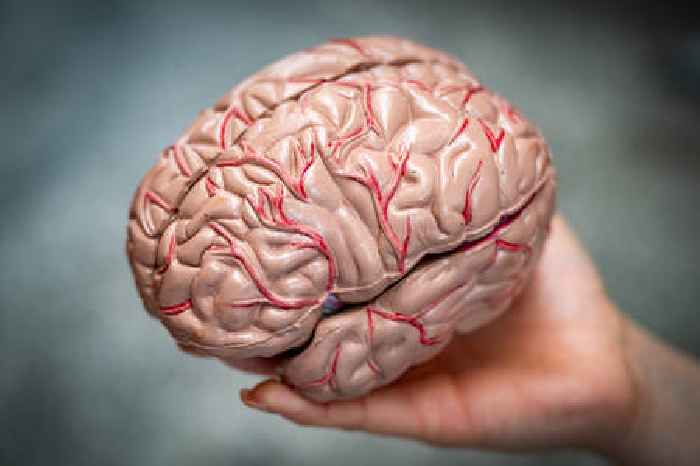 Sorry, we left an implant in your brain
