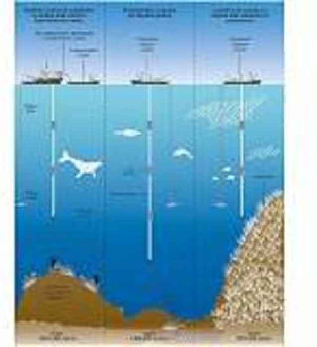 Canadian firm makes first bid for international seabed mining license