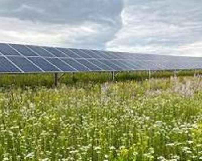 Should farms grow crops or harvest solar power MSU research supports both