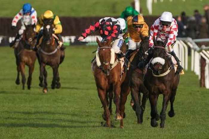 Starform experts' Friday horse racing tips with 14/1 shot backed at Punchestown