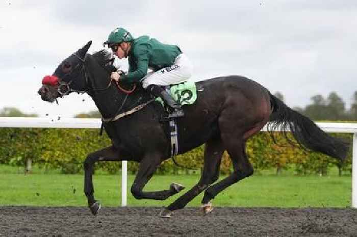 Tyson Fury's horse backed at Chelmsford in Starform racing guide with Redcar and Ayr tips