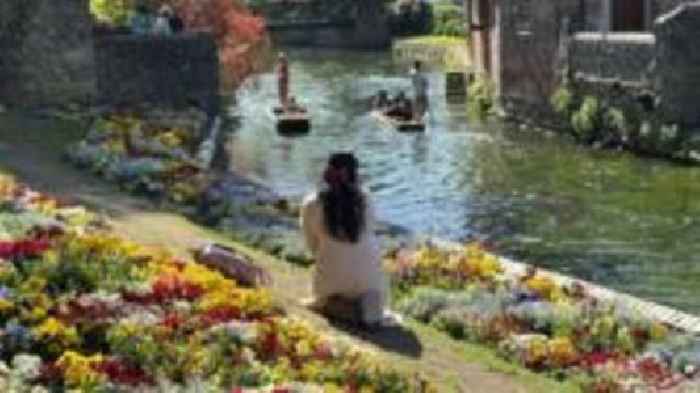 Action promised to protect 'iconic' flower beds