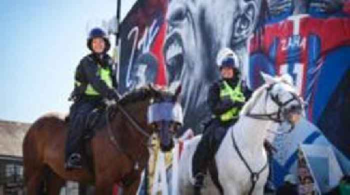 Pair of police horses attacked and injured by dog