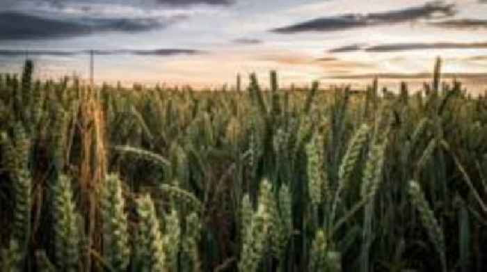 Pioneering organic farm put up for sale at £10m