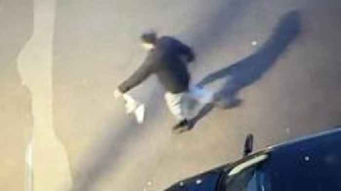 RSPCA and police investigate alleged pigeon abuse
