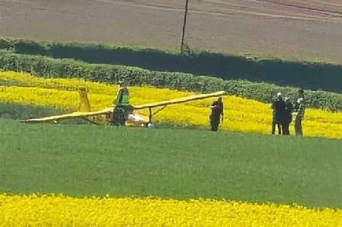 Bake Off's Paul Hollywood rushes to pilot's side after horror plane crash