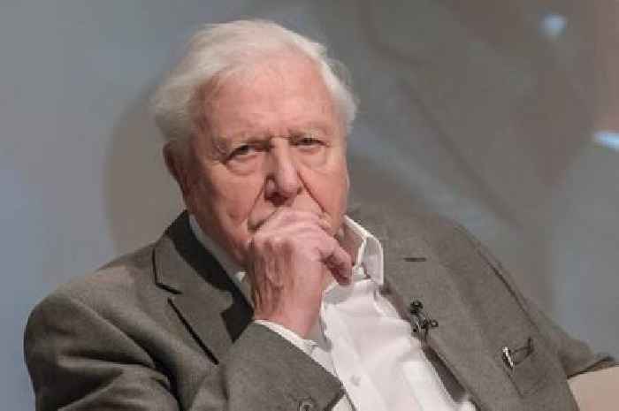 Sir David Attenborough says 'the end is near' as he makes heartbreaking admission