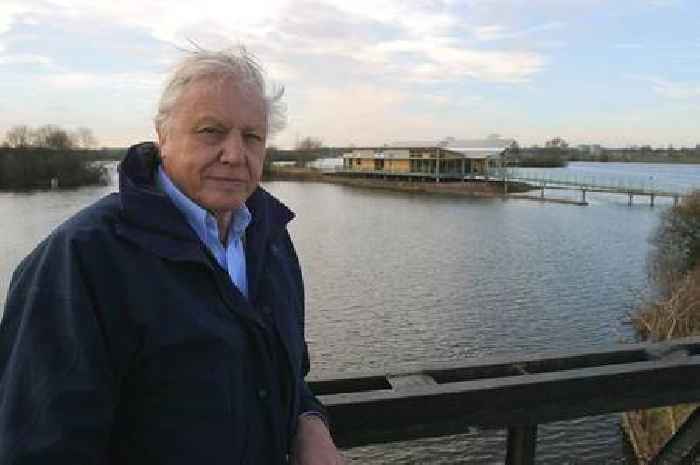 Sir David Attenborough says 'end is near' as he makes emotional confession