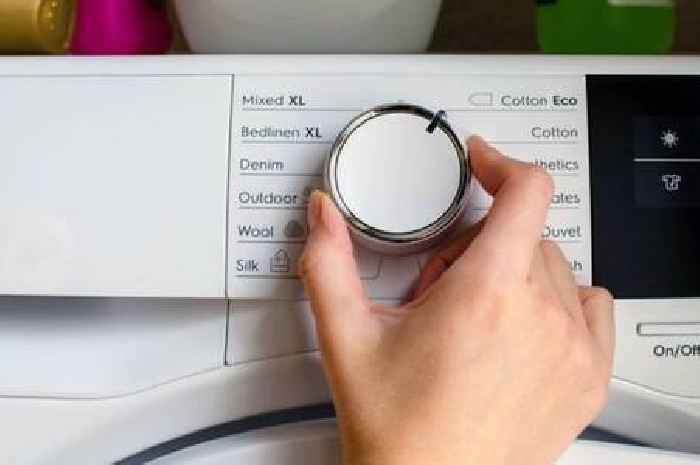 OVO, EDF, EON, Octopus customers can claim £265 boost 'and no future price hike'