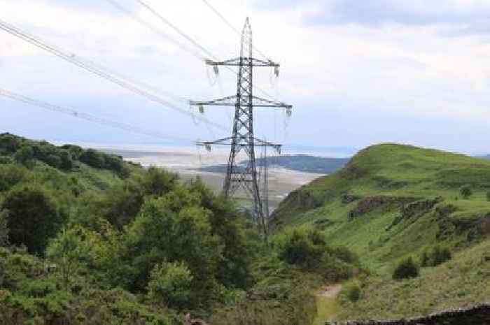 UK households urged to be aware of six steps to 'prepare' for power cut