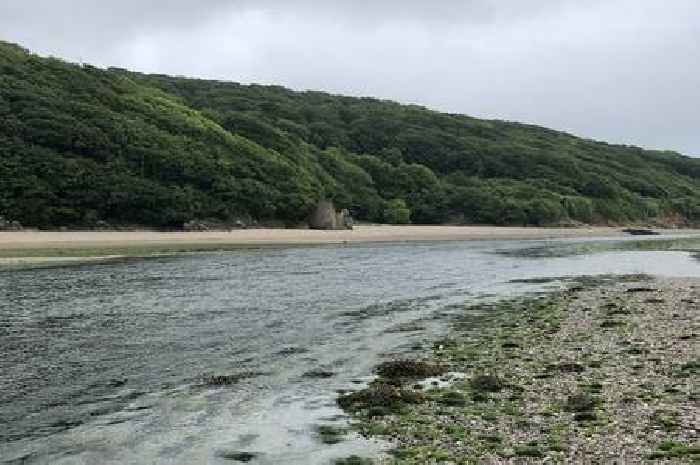 Devon's Brown Flag beach shamed as visitors warned 'do your research'