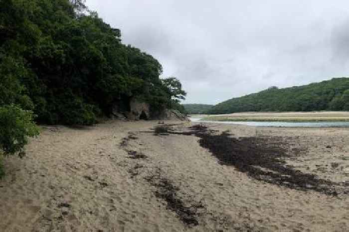 England's 19 dirtiest beaches named as swimmers warned 'go in at your peril'