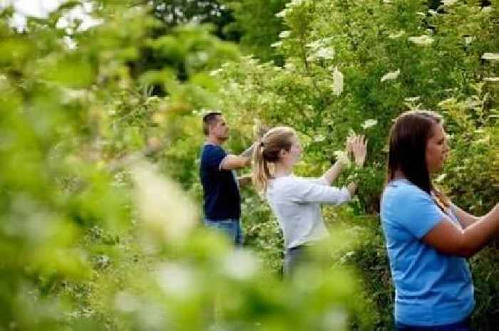 Belvoir Farm issues urgent call for help after mini heatwave leads to big change