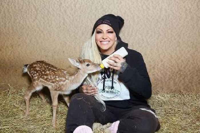 Jodie Marsh claims three cats were 'stolen' from her Essex farm