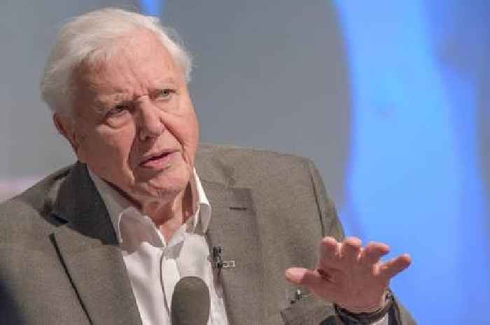 Sir David Attenborough says 'keep quiet' and do one thing for '10 minutes'