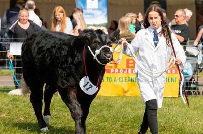 Countdown begins for the return of Ayr County Show