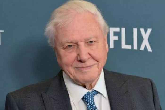 David Attenborough's remarkable seven decade career and life behind screens as icon set to turn 99