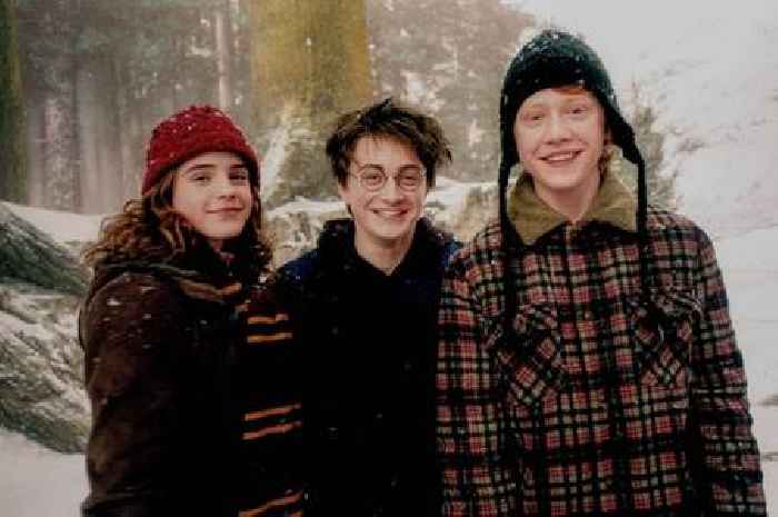 Harry Potter fans only just learning Rupert Grint has famous movie star partner
