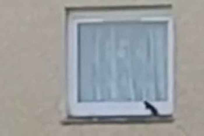 'Shock' moment rat filmed climbing in upstairs window of Scots home