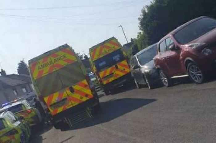 Young boy and girl seriously injured in dog attack as police race to scene