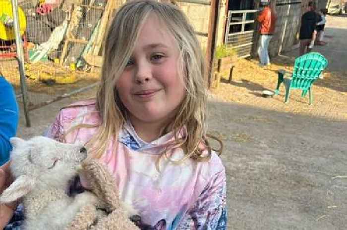 'My daughter became ill after feeding animals at Welsh attraction'