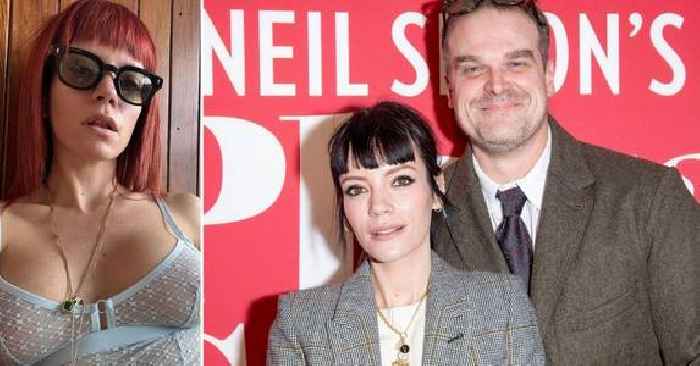 Lily Allen Flaunts Nipples in Braless Mesh Top to Celebrate 40th Birthday Following David Harbour Split: Photos