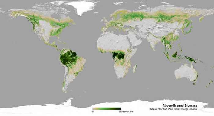 ESA unveils longest-ever dataset on forest biomass