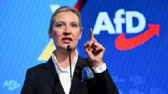 Germany's AfD classified as extreme-right by country's intelligence service
