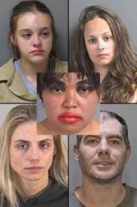 Friday Photo Fun Match Game
