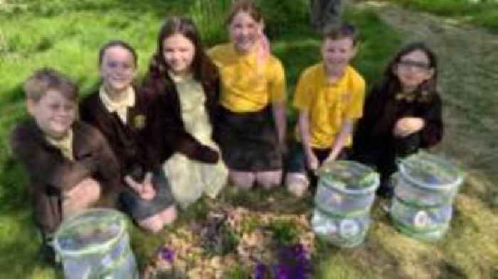 Kent primary schools prepare for butterfly release