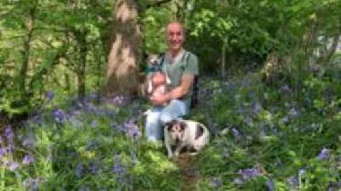 Meet Pete, the woodland 'bird whisperer'