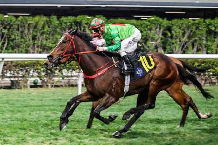 Spirit and Jewel look set to sparkle at Sha Tin