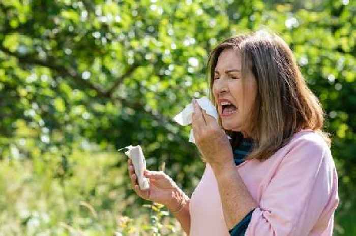Experts share surprising tips to prevent hay fever this summer